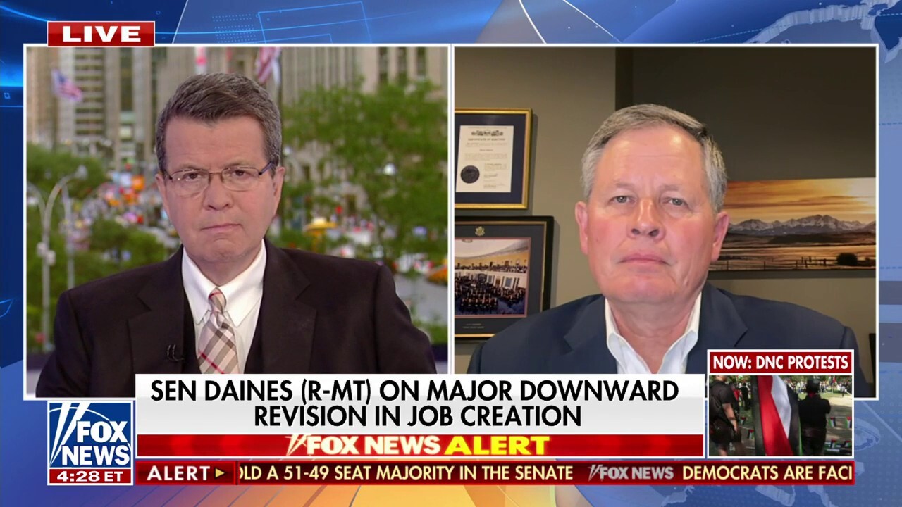 Sen. Daines on major US job growth revision: ‘Not a good report’ for Democrats