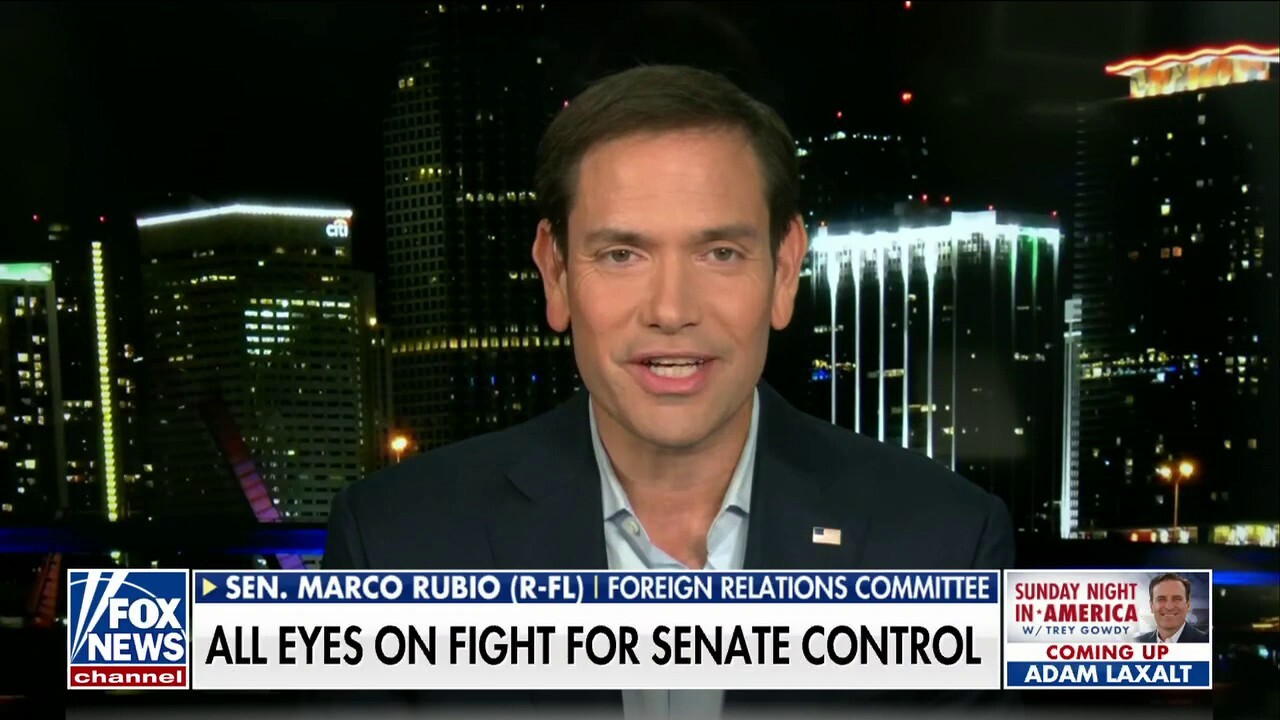 Sen. Marco Rubio: If we turn out, we're going to win this race