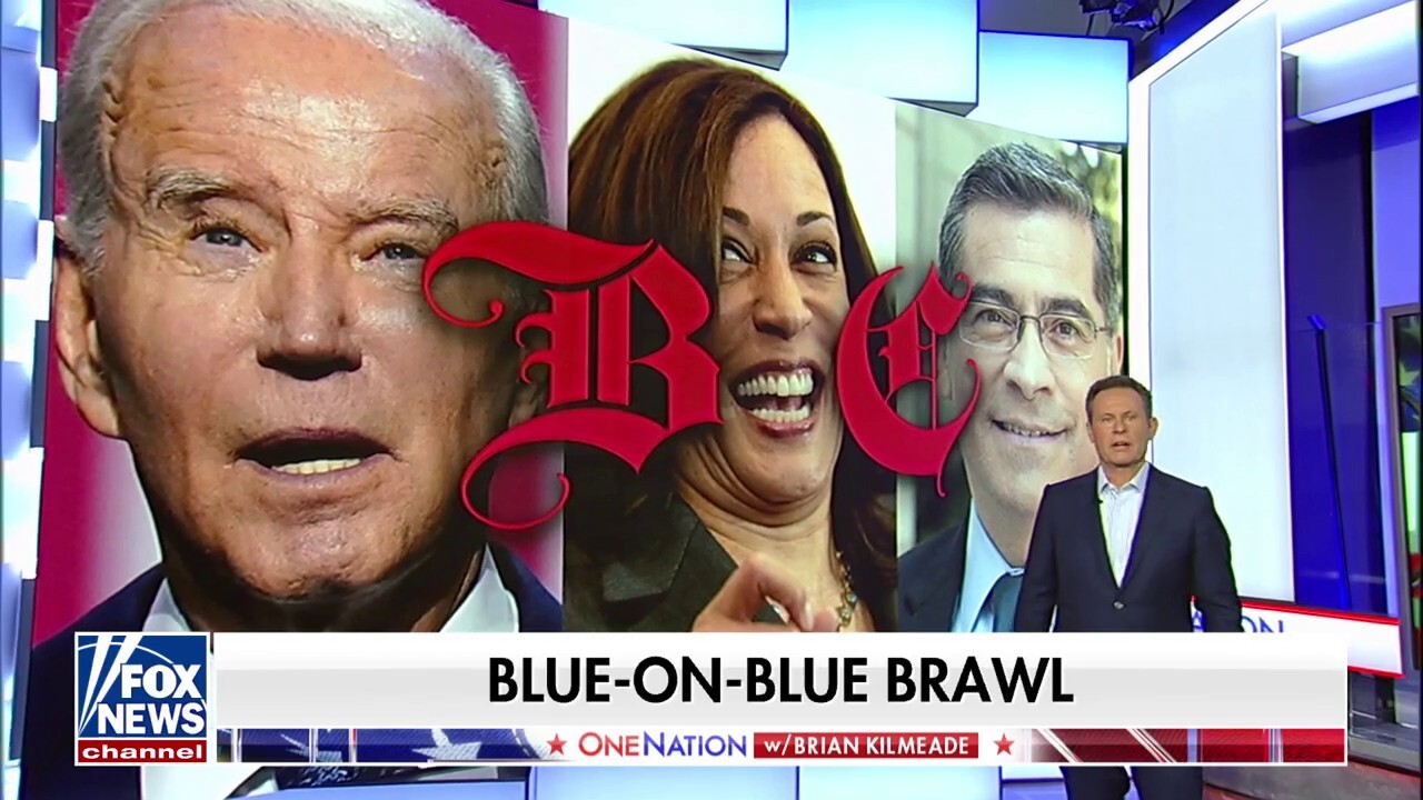 Fox News host Brian Kilmeade gives his take on the 'Left-wing family fight' within the Democratic Party on 'One Nation.'