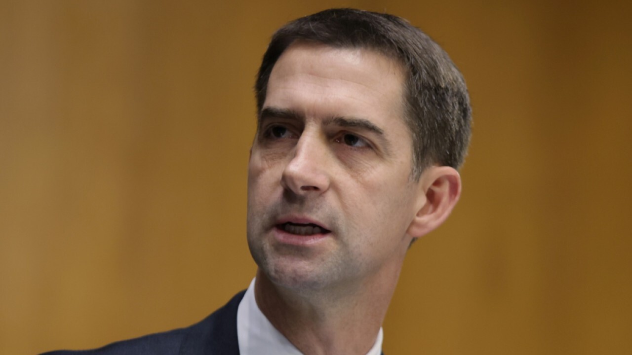 Sen. Tom Cotton: Dems' 'DACA-For-All' amnesty plan must be stopped
