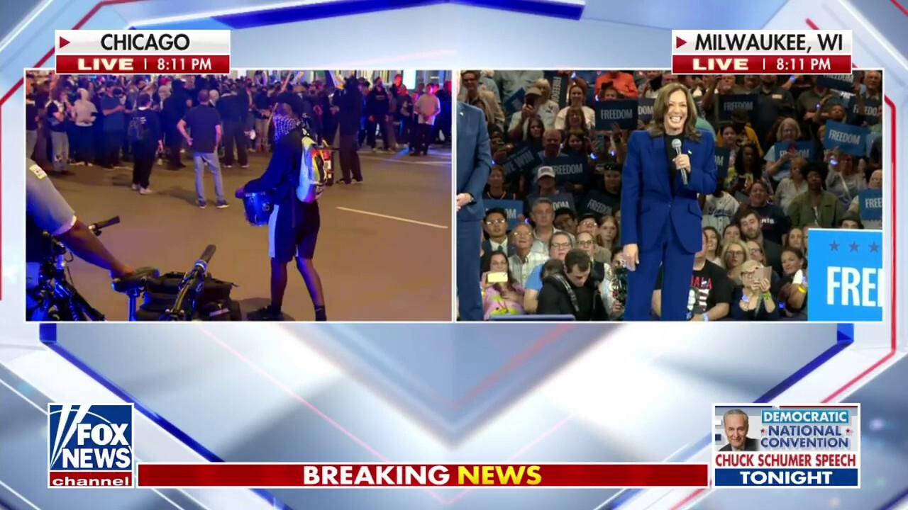 Kamala Harris speaks after DNC concludes roll call in Chicago