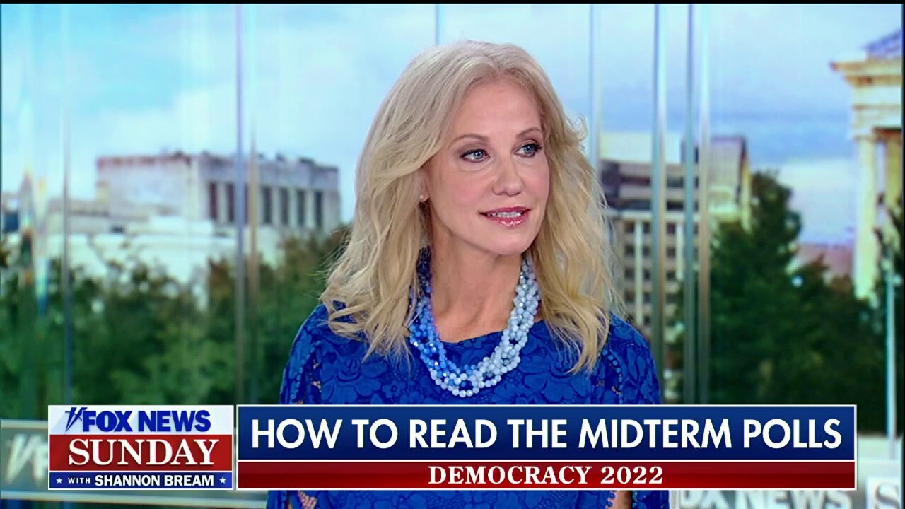 Democrats are 'scaring people away from voting': Kellyanne Conway