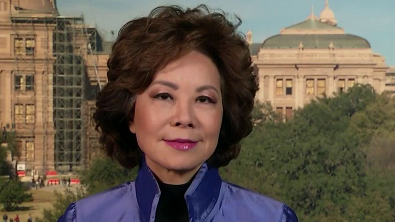 Elaine Chao reacts to Christmas holiday travel nightmare