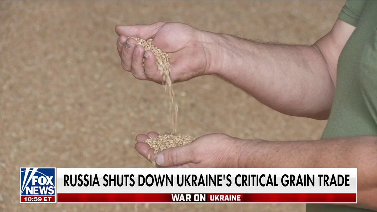 Putin launches war on food in Ukraine