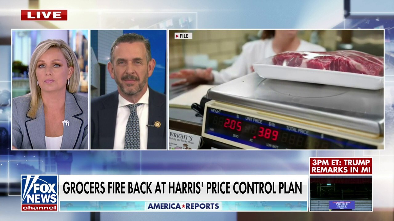 Kamala Harris' price control plan will hurt the regular working family: Rep. Mike Rulli