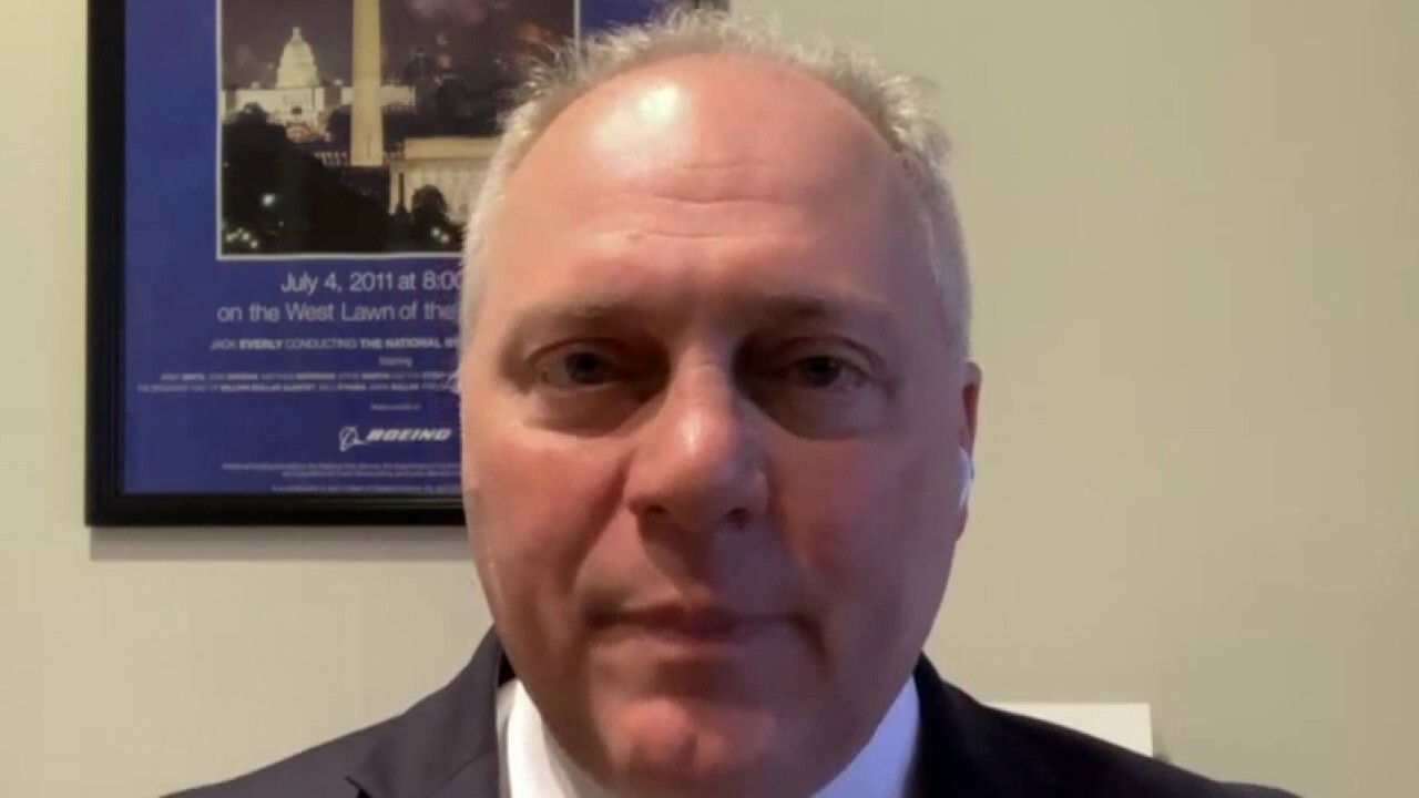 Scalise: Democrats want to 'go it alone' on 'Soviet-style dream list for the left'