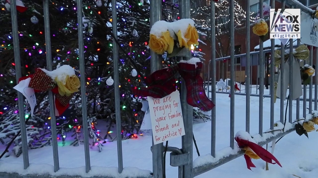 Christmas tree in Moscow, Idaho