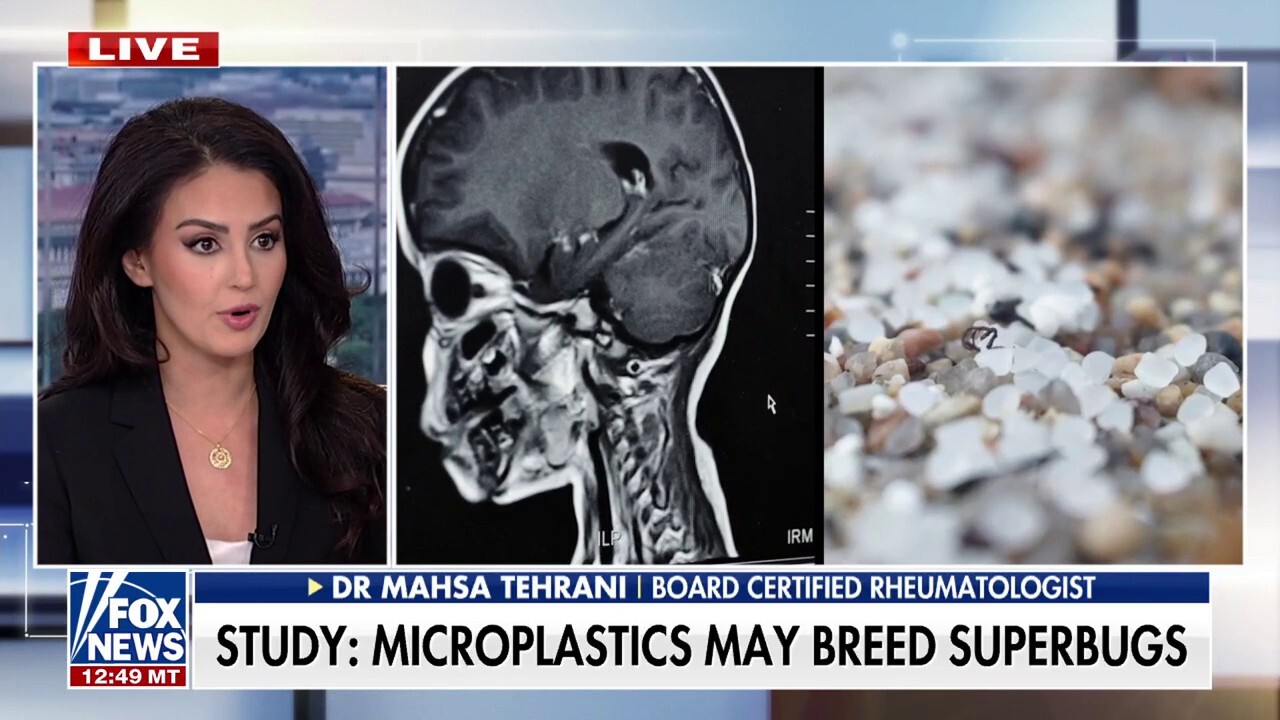 Microplastics are 'horrible' for your health: Dr. Mahsa Tehrani