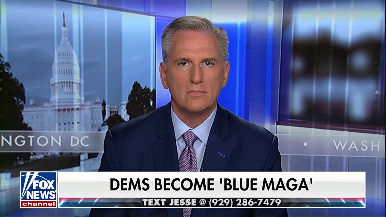 No one believes what the Democrats say: Kevin McCarthy