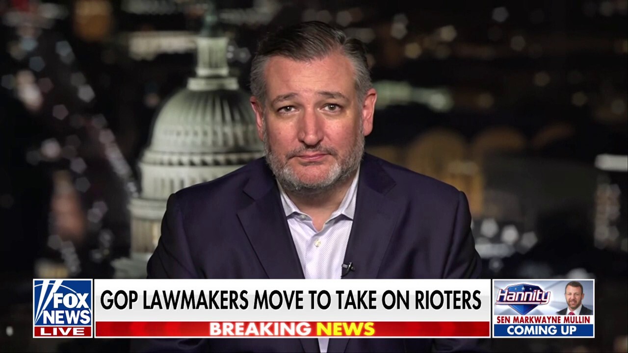 Sen Ted Cruz's new legislation would allow federal prosecutors to pursue those who fund violent riots