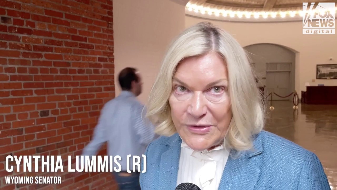 Republicans Blast Fetterman For Dressing Like A slob As Senate Loses 