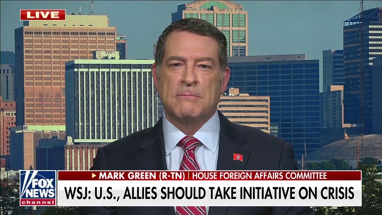 We have to give Ukraine the capability to make this cost Putin dearly: Rep. Mark Green