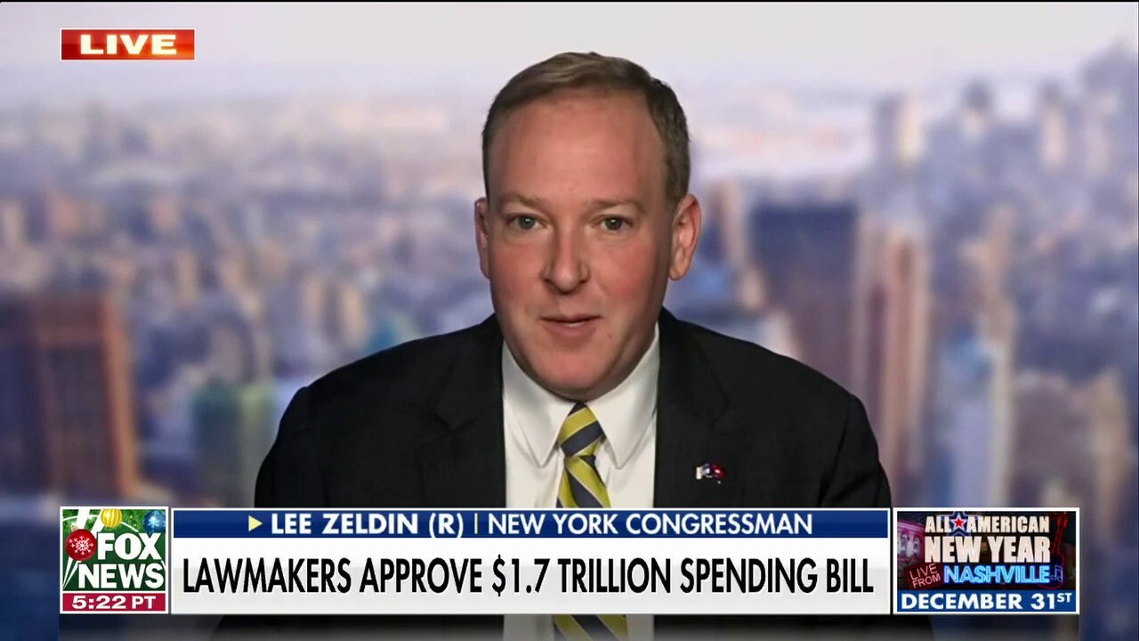 Federal spending 'out of control' following omnibus bill passage: Rep. Zeldin