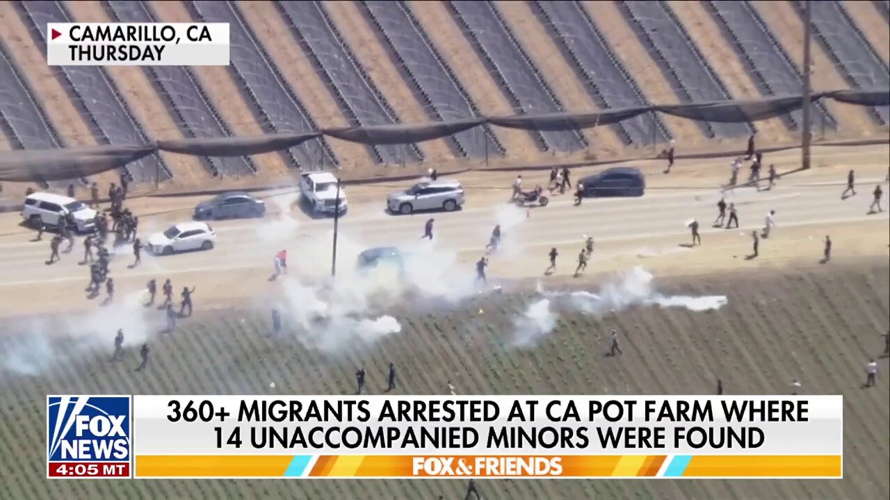 Over 360 illegal migrants arrested in massive ICE raid at California pot farm