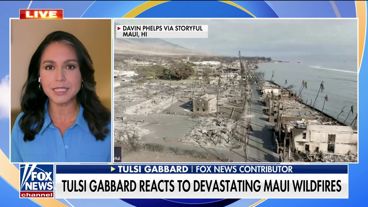 Tulsi Gabbard slams government response to Maui wildfire: 'Deficit in trust'