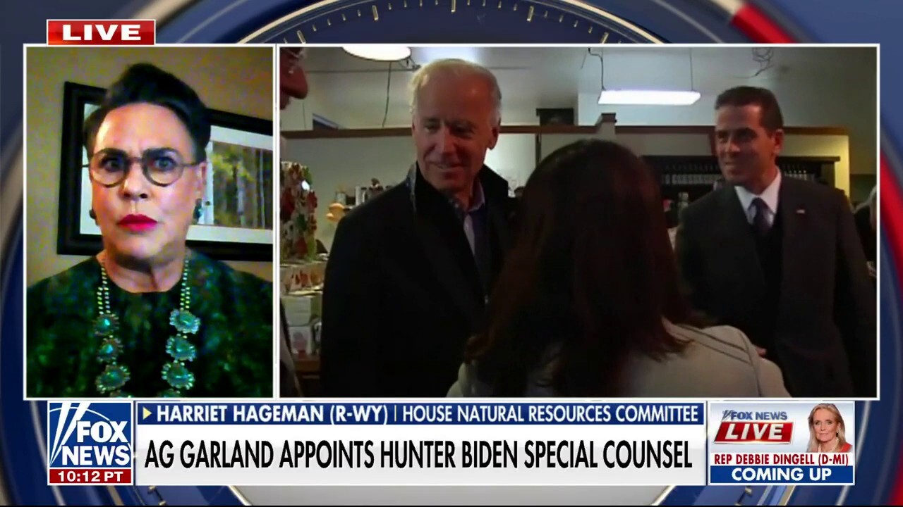 Hunter Biden was 'selling one thing and that was access to Joe Biden': Rep. Harriet Hageman