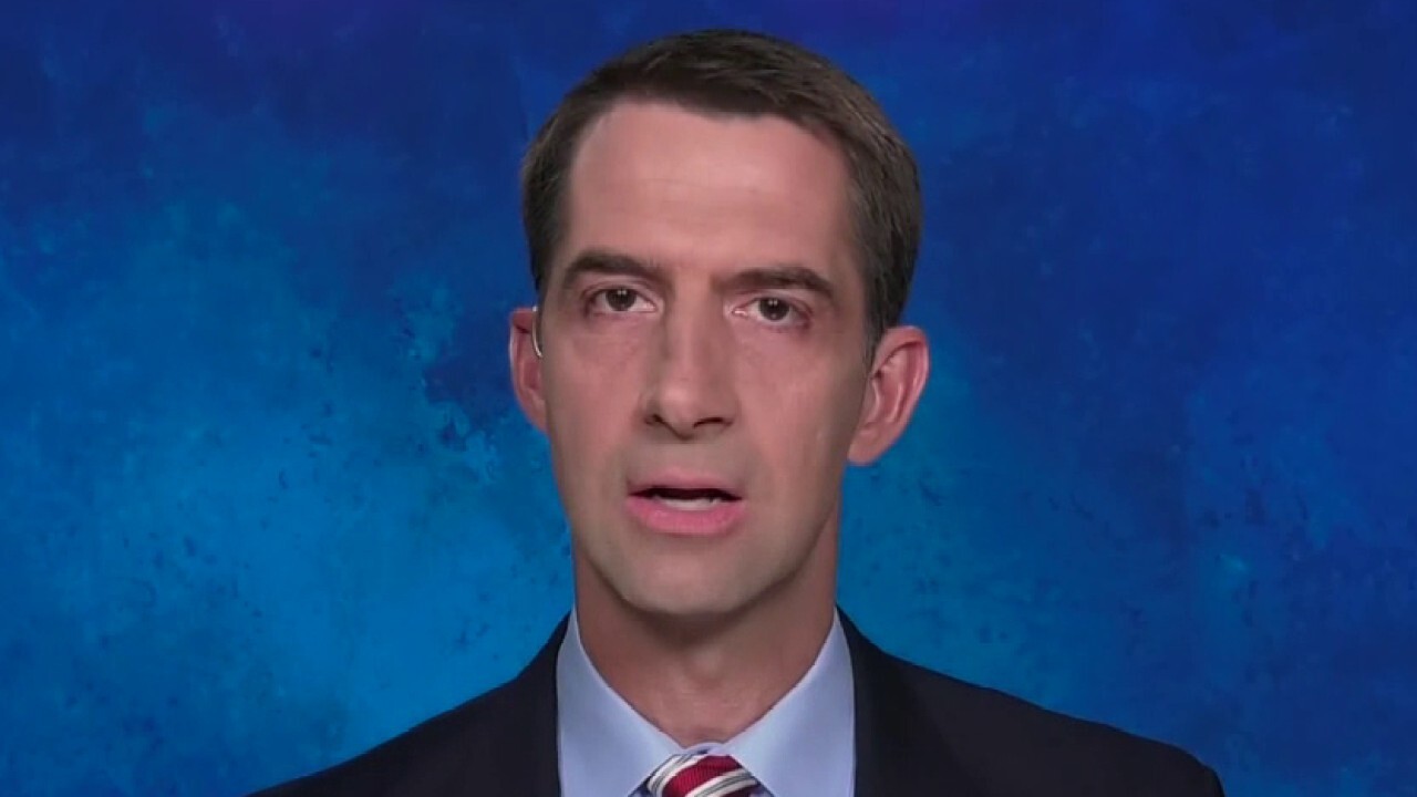 Sen. Cotton calls out Joe Biden for 'celebrating the rise of China' for 47 years