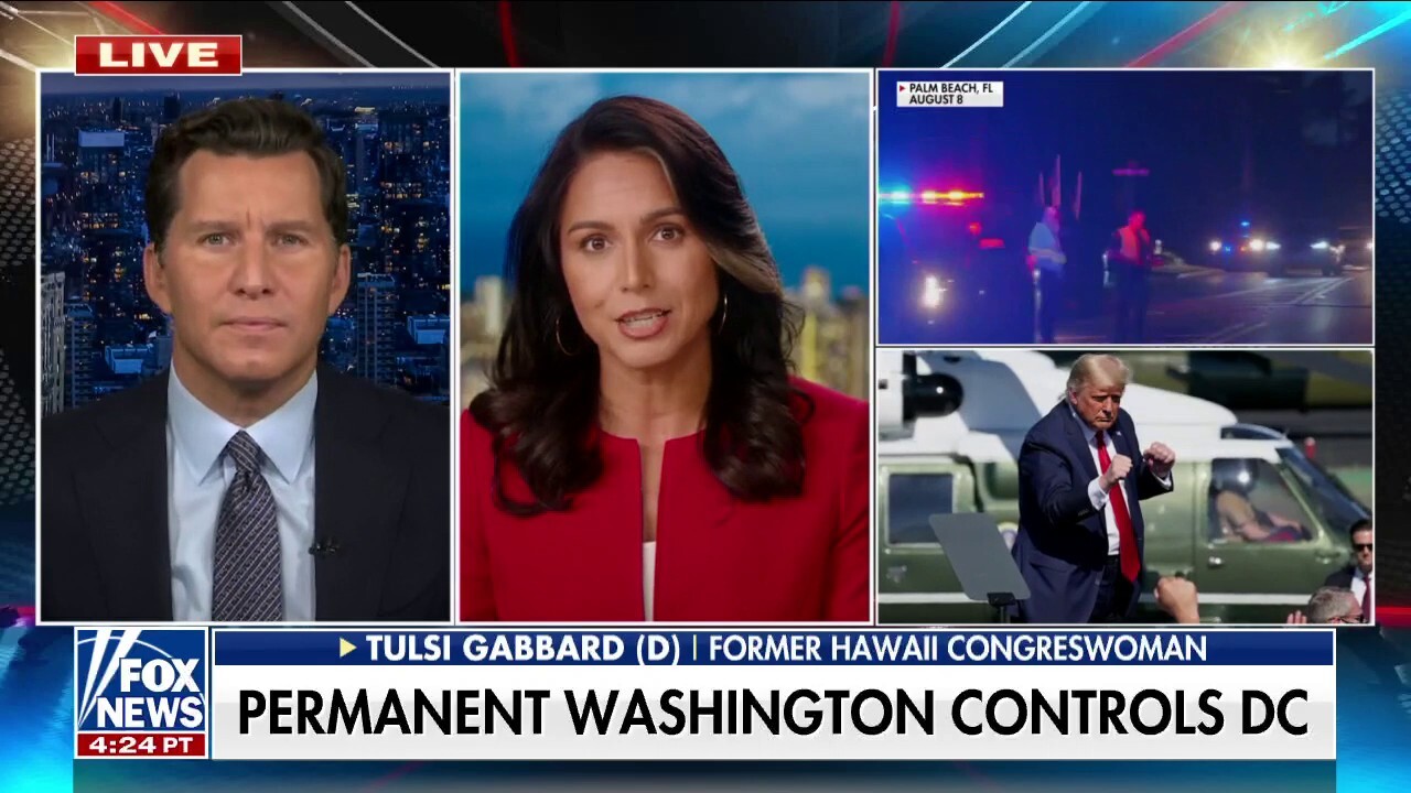 These are the people that want to censor us: Tulsi Gabbard