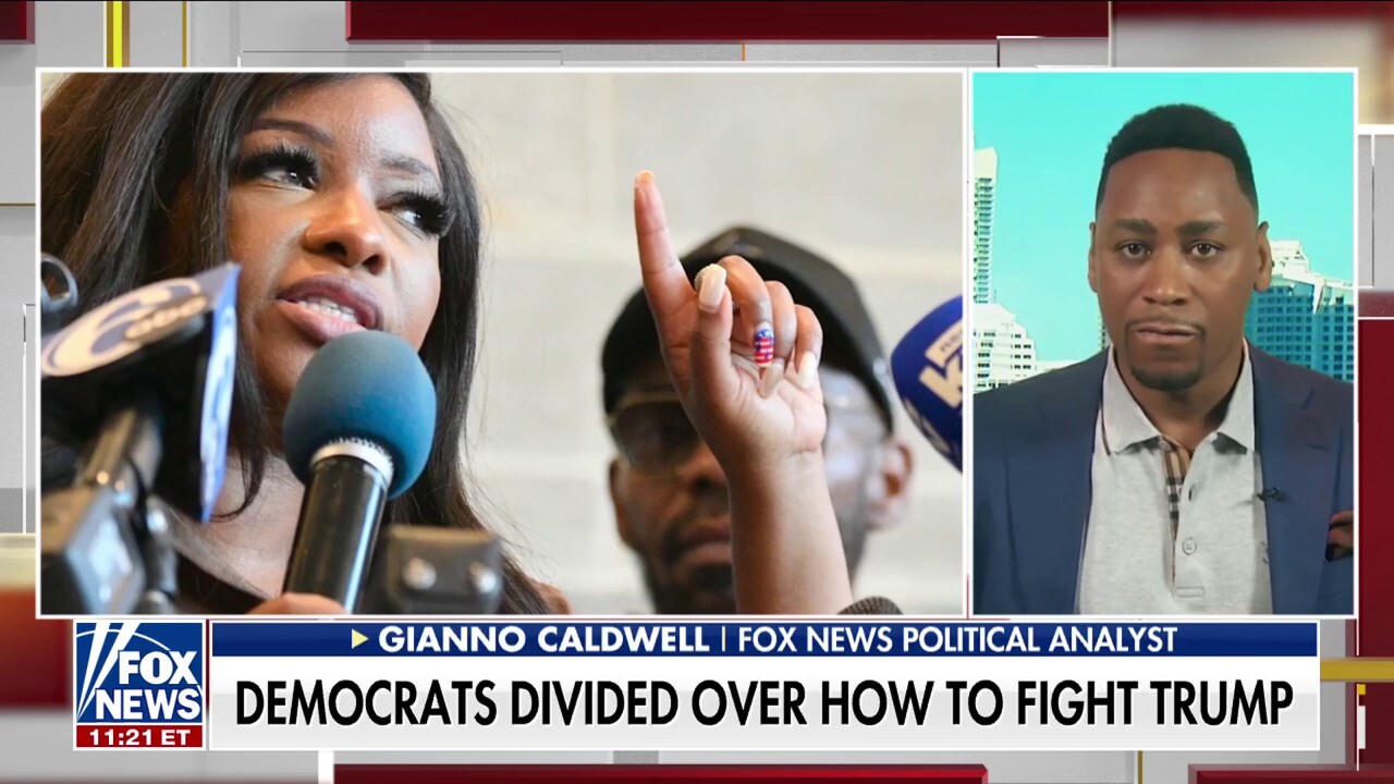 Democrats ramp up 'wild rhetoric' against Trump: 'Temu Hitler'