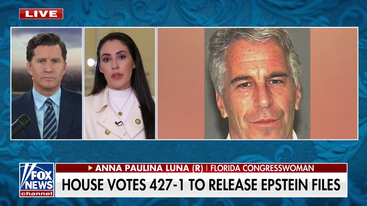 Epstein had ties to foreign intelligence, Republican claims