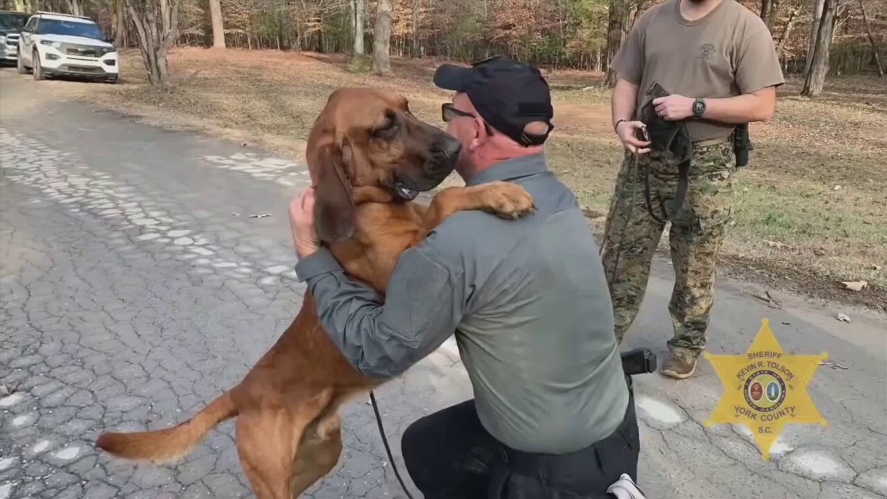 South Carolina K-9 reunited with handler after going missing in training exercise