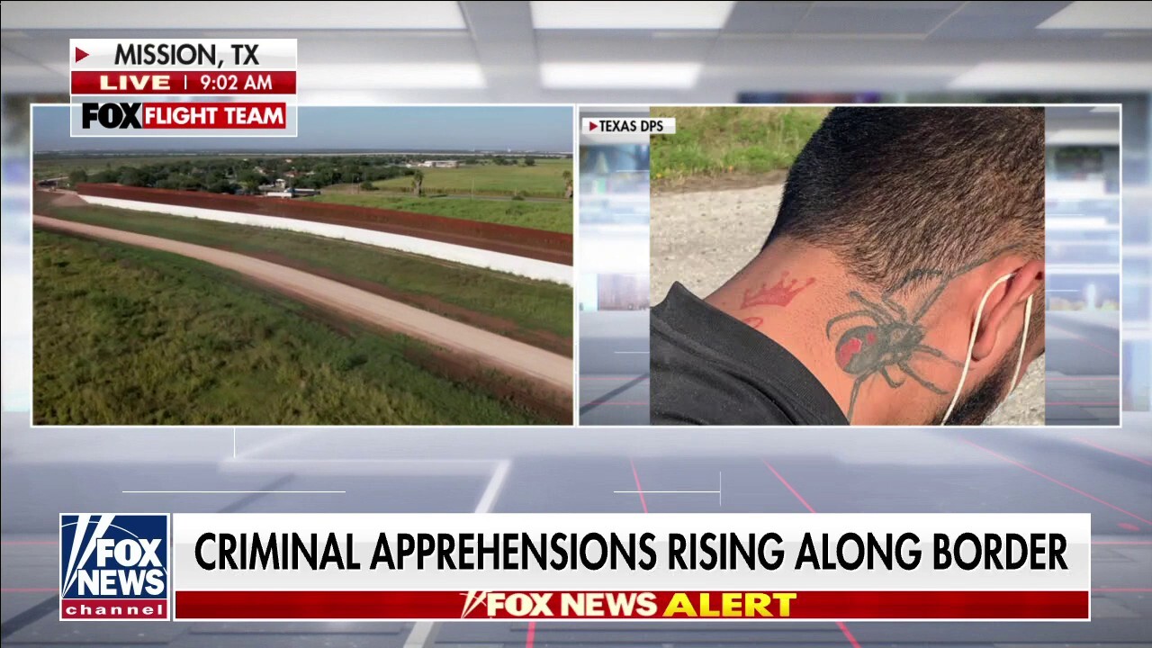 Criminal apprehensions rise along southern border