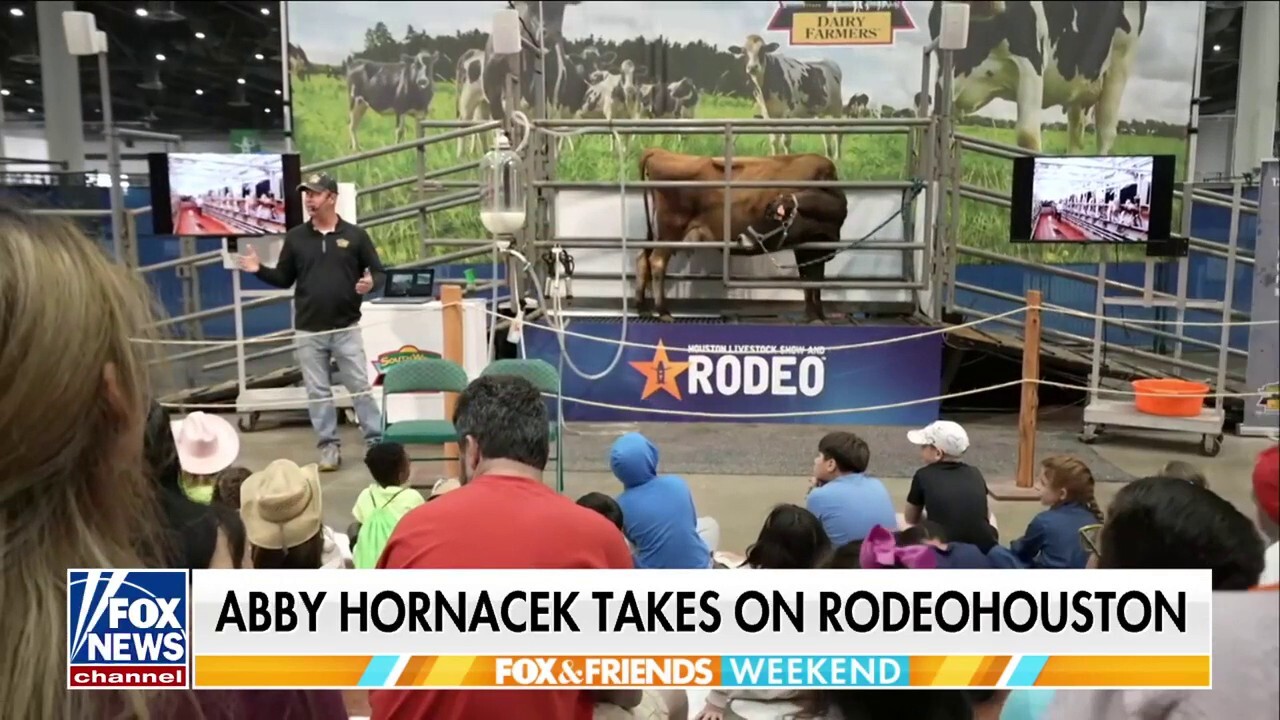 Fans flock to Houston for largest livestock show and rodeo