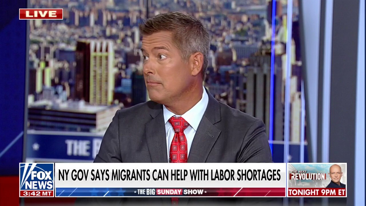 Sean Duffy: Democrats want illegal immigrants in the US but not in their backyard