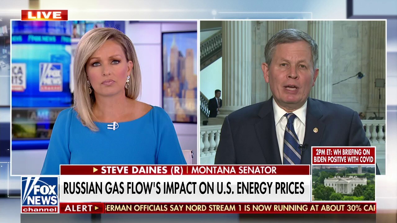Sen. Daines on importance of energy independence: 'Putin holds Europe hostage with pipeline'