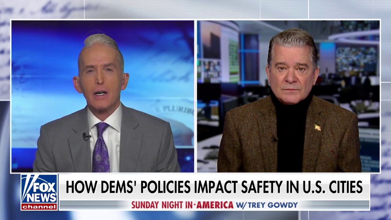 Violent and randomized crime has been ‘more than politicized, it has been weaponized’: Former NYPD inspector