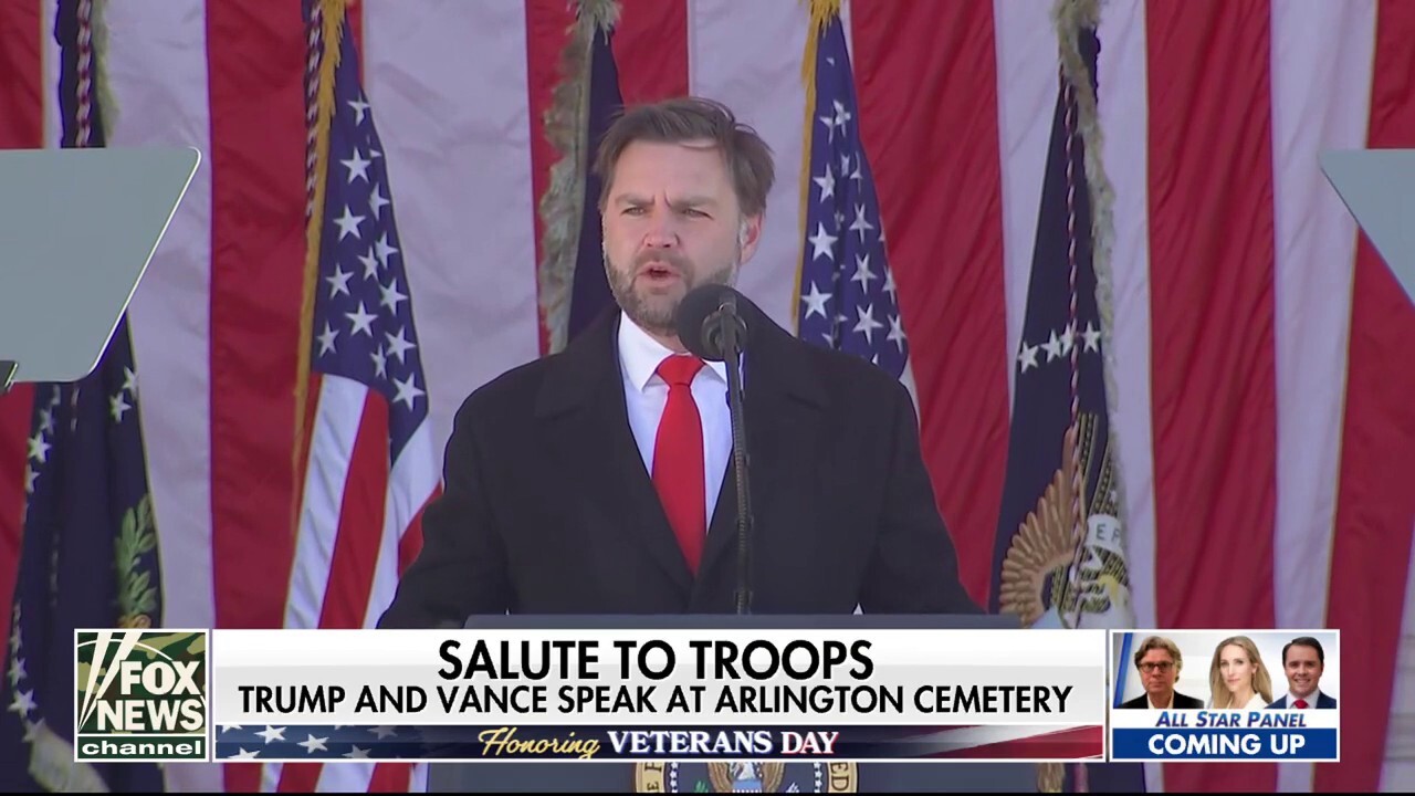 Veterans Day parades and celebrations held across the country 