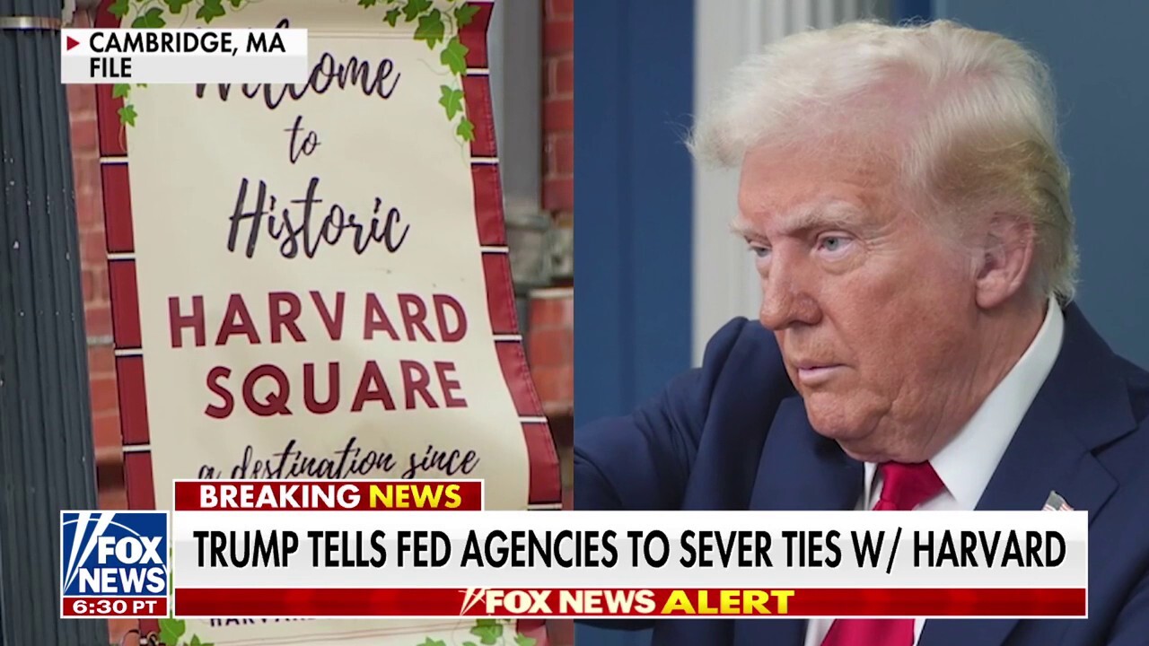 Jonathan Turley: Harvard is at a 'disadvantage' in some legal fights with Trump