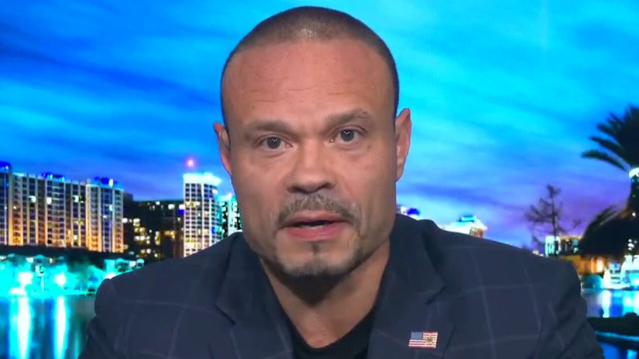 Dan Bongino on House policing hearing: Some Democrats were just there to stoke the flames of division