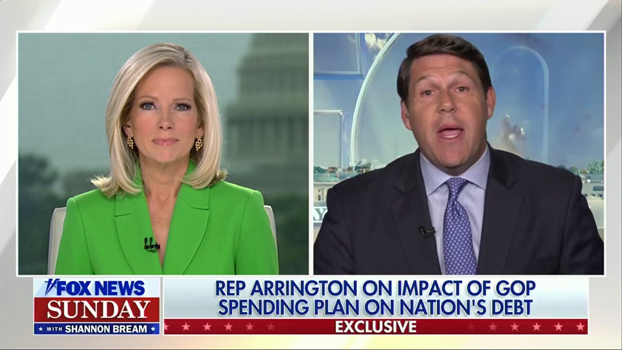 Lawmaker rips Dems for 'fear-mongering' Medicaid cuts in Trump's 'big beautiful' bill