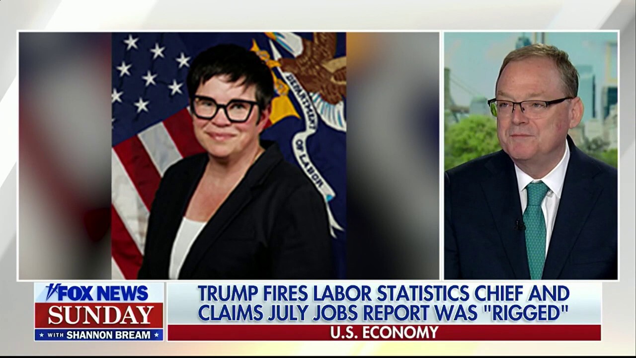 National Economic Council Director Kevin Hassett discusses the latest jobs report, the firing of the labor statistics chief and the consumer impact of tariffs on 'Fox News Sunday.'