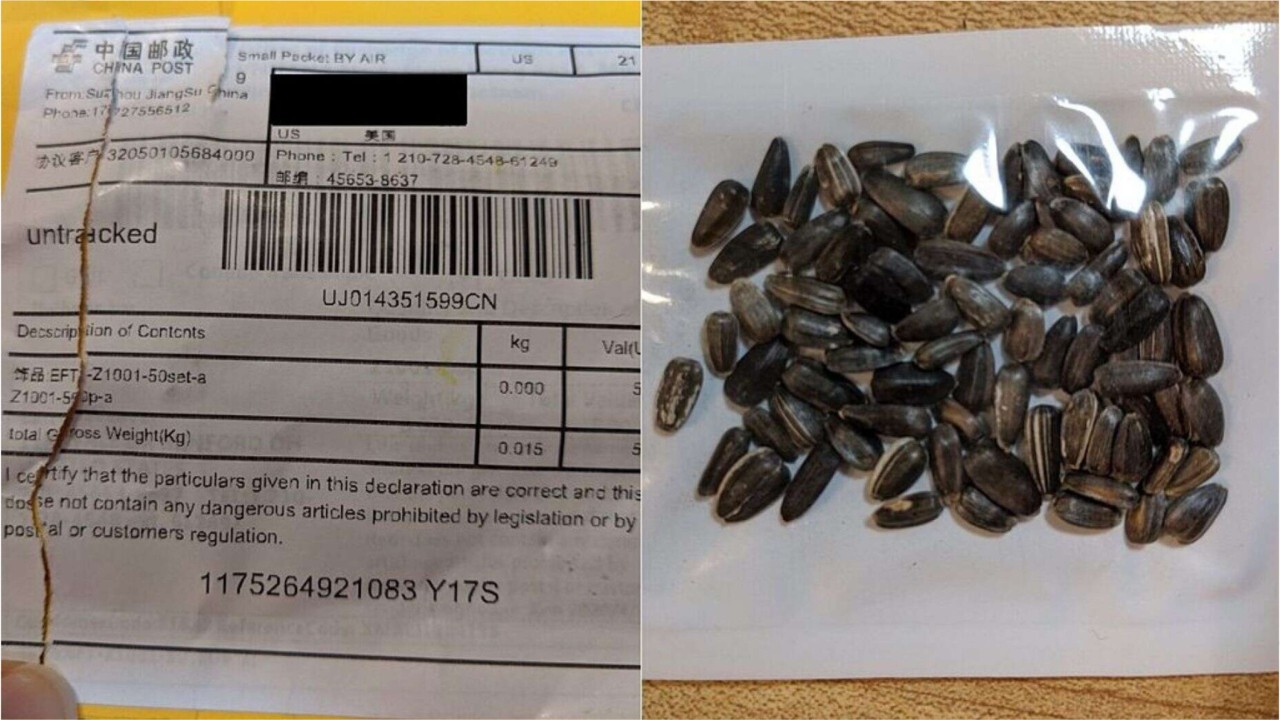 Officials think mysterious packages from China containing seeds are part of an online scam