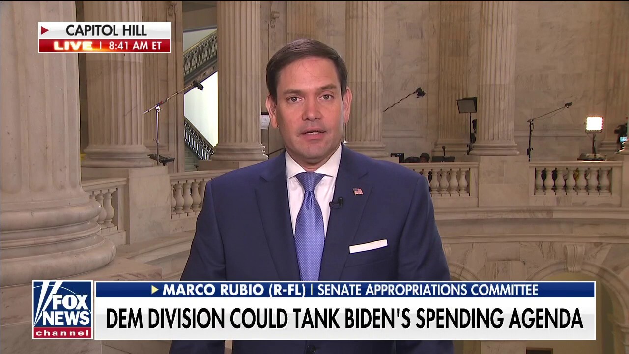 Marco Rubio rips Dems as 'radical, left-wing nutcases' who suffer from 'internal party problem' amid spending bill infighting, push