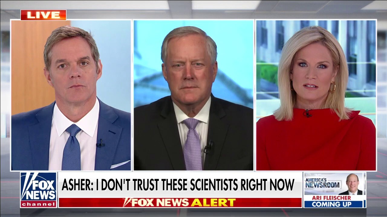 Meadows rips scientist’s statements on coronavirus origins: ‘We are in a Biden cover-up mode’