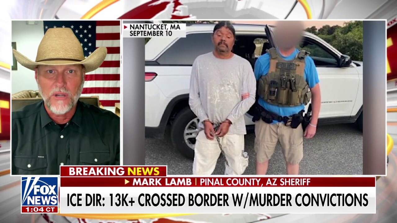 Vice President Kamala Harris’ border visit is ‘a day late and a dollar short’: Sheriff Mark Lamb