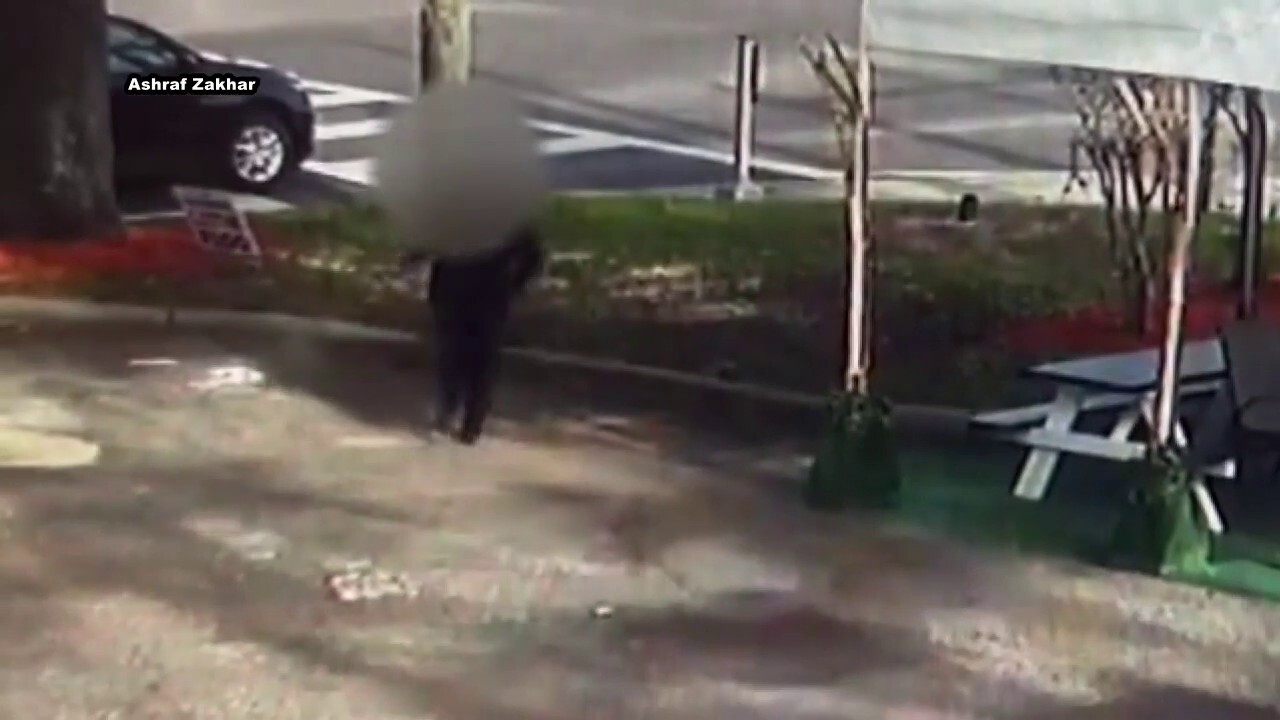 Жена от Флорида, видяна на видео да бяга след месеци на предполагаемо пленничество, изтезания