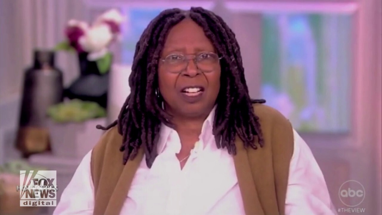 Whoopi Goldberg echoes Don Lemon in attacking Nikki Haley: 'You're not a new generation, you're 51'
