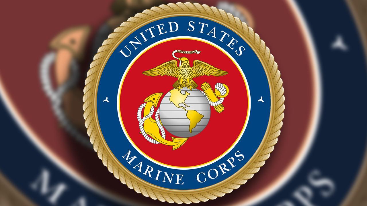 16 Marines arrested on charges ranging from human smuggling to drugs