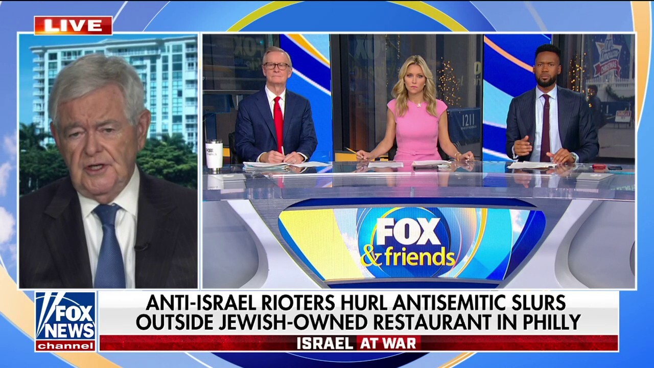 Newt Gingrich: US 'should be much more aggressive' handling anti-Israel sentiment