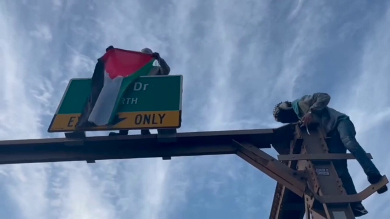 Pro-Palestinian protesters climb Brooklyn Bridge, burn Israeli flag during demonstration