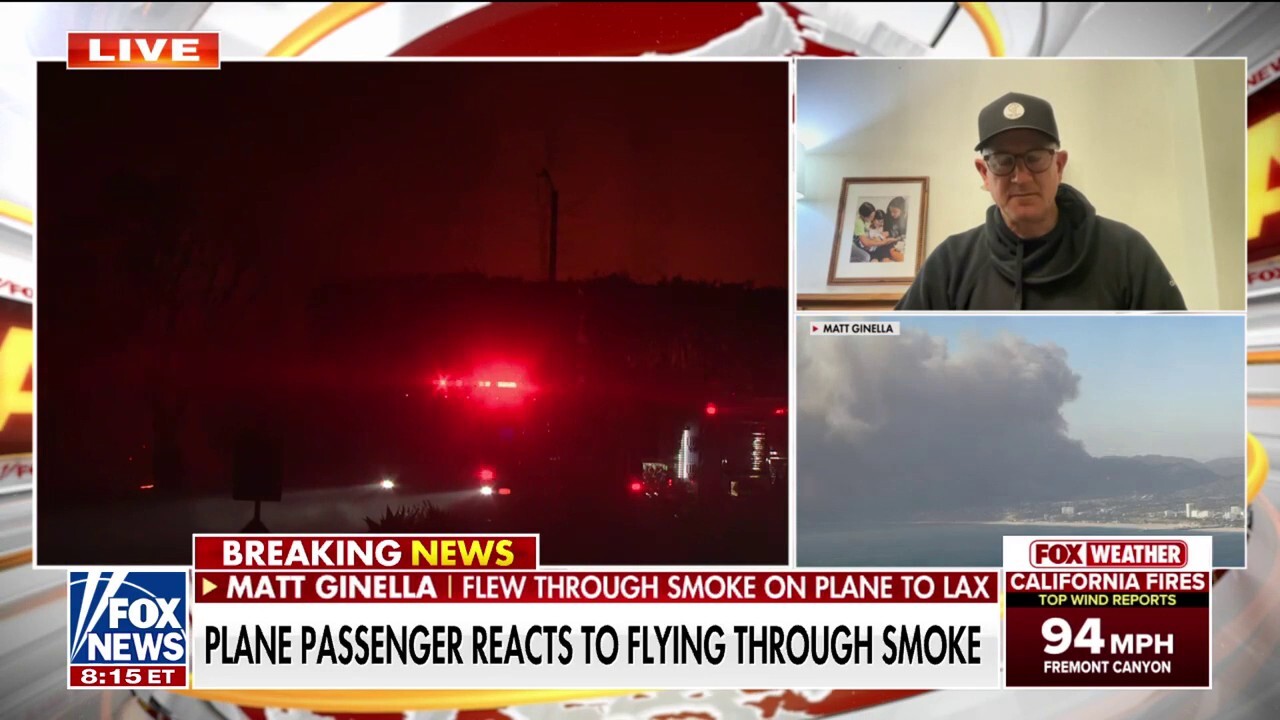 Plane passenger reacts to LA wildfires: 'This is pure devastation'.