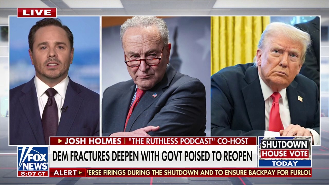 Josh Holmes says ‘Democratic civil war’ underway as Schumer battles party backlash