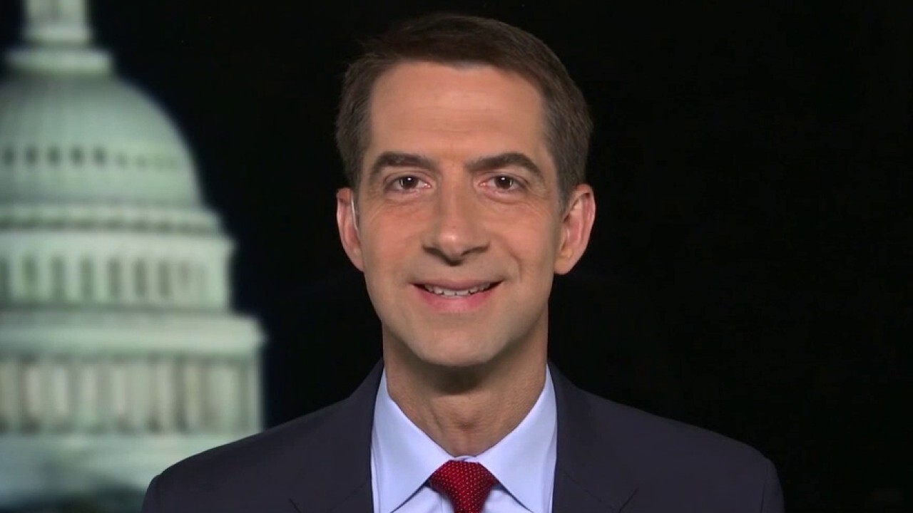 Sen. Tom Cotton on protecting America's monuments, future of police reform on Capitol Hill	