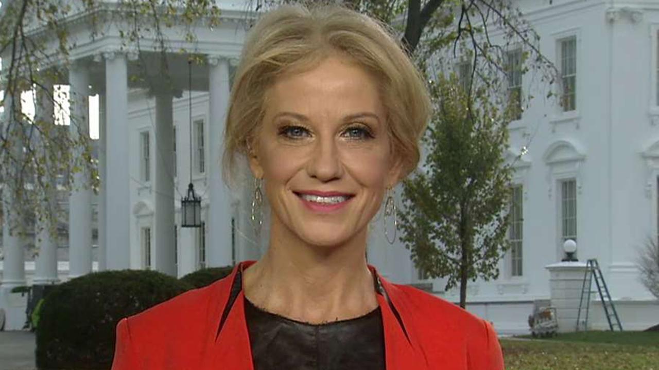 Kellyanne Conway: Trump made the difference in Florida