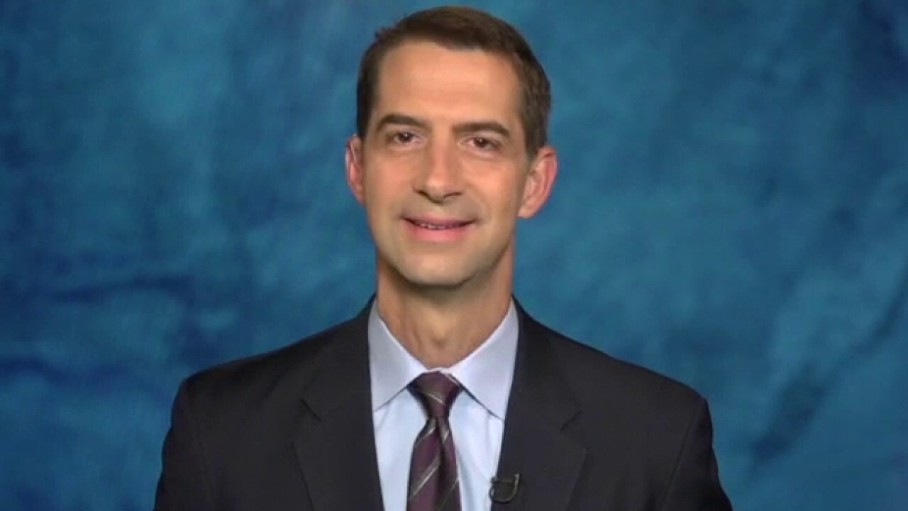 Sen. Cotton: Democrats silent on mobs because their bad policies caused it