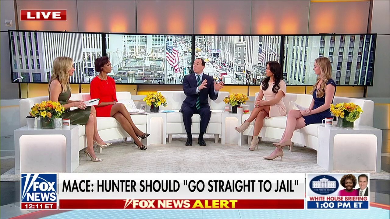 McEnany: Hunter Biden took a page out of Trump's playbook
